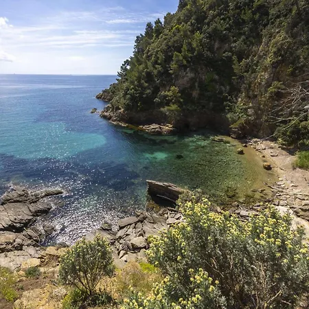 Mas Provencale A Sur Avec Acces Direct A La